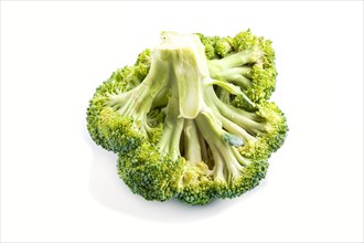 Fresh green broccoli isolated on white background, side view, close up