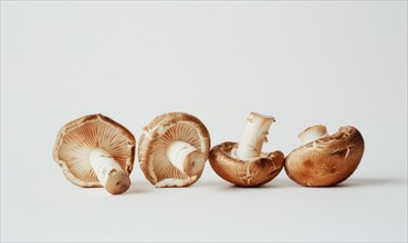 Shiitake mushrooms on a white background. Healthy food. AI generated
