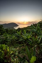 View from a mountain to a secluded bay with a sandy beach and mangrove forest. The sun rises over