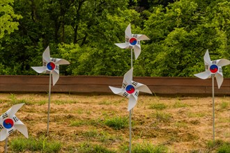 White pinwheels with Korean flag design stuck in ground in front of wooden wall with trees in
