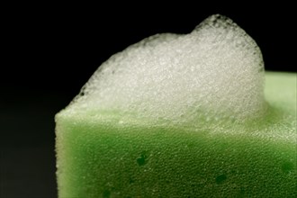 Foam on a green sponge isolated on black background and copy space