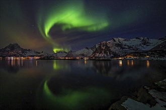 Polarlichter ueber einem winterlichen Fjord auf den Lofoten mit verschneiten Bergen und einer