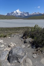 Lake in front of the foothills of the Andes, mountain range, Torres del Paine National Park, Parque