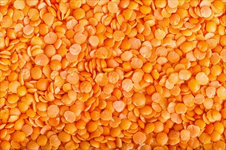 Texture of red lentils. Top view