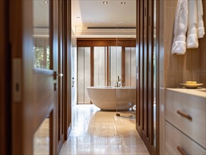 Bathtub in a luxury bathroom, AI generated