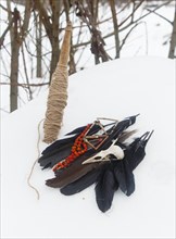 Spindle, crow feathers, bird skull and rowan beads in the snow. Still life. Pagan, witchcraft
