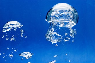 Bright Air bubbles, blue background in an aquarium