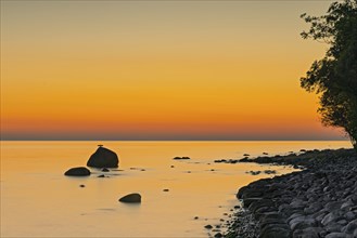 Dawn at the striking rock on the coast of Lohme on the island of Ruegen. A comoran lasts a long