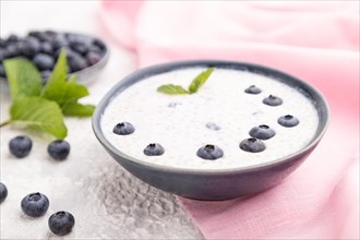Yogurt with blueberry in ceramic bowl on gray concrete background and pink linen textile. Side