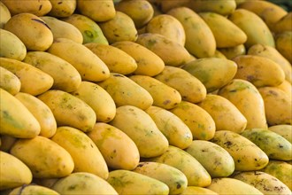 Ripe mango on the market