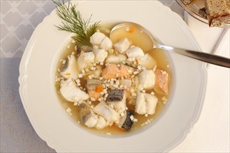 Swabian cuisine, Lake Constance fish pot, fish soup, healthy food, broth, fillet of pike, char,