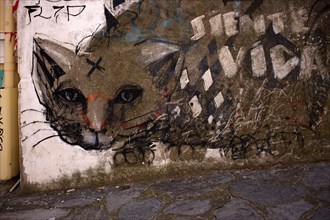Graffiti, Cat, Old Town, Upper Town, Thessaloniki, Macedonia, Greece, Europe