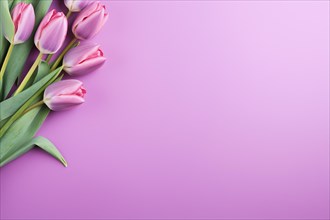 Purple tulip spring flowers on pink background with copy space. KI generiert, generiert AI