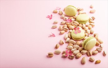 Green macarons or macaroons cakes with pistache nuts on pastel pink background. side view, copy