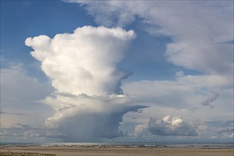 Rain cloud (Cumulonimbus capillatus) with heavy rain shower on the North Sea beach, Henne Molle,