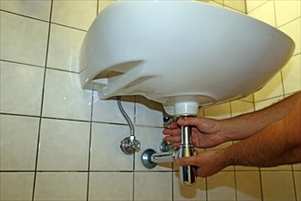 Plumber installs the siphon on a washbasin