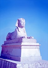 Unknown Sphinx, Egypt, Africa
