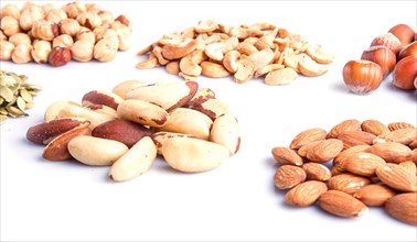 Piles of various nuts and seeds isolated on white background. hazelnut, brazil nut, almond, pumpkin