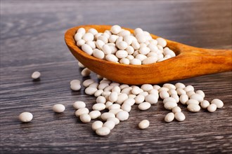 Pile of white beans in a wooden spoon isolated on a gray wooden background