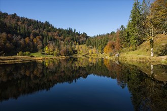 Lake with autumn forest, water reflection, Nonnenmattweiher, Neuenweg, Black Forest,