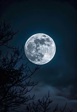 The full moon is very large and bright in the sky, in the foreground branches of a tree, AI
