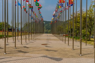 Flags from several nations flying on chrome flagpoles with trees and blue sky in background in