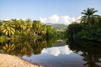 View of a river arm, a tropical mangrove landscape and the natural surroundings of Grande Anse