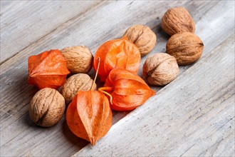 Walnuts and red physalis on rustic wooden background with copy space