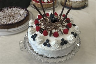 Black forest cake with mini camera at a photo exhibition, Eckental, Middle Franconia, Bavaria,