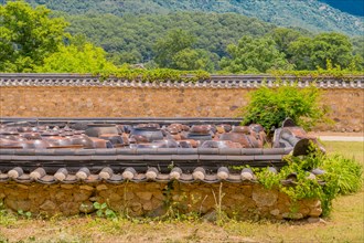Rows of brown ceramic pickling jars sitting in walled enclosure of stone and mortar with tiled