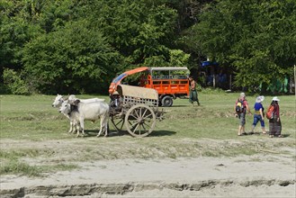 Ox cart on the Irrawaddy, also known as Ayeyarwady, river between Mandalay and Bagan, Myanmar, Asia