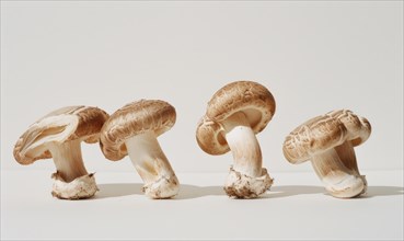 Group of porcini mushrooms isolated on white background. Studio shot. AI generated