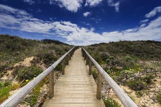 Coastal landscape, path, footbridge, panorama, coast, dunes, dune landscape, nature, natural