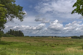 Swamp landscape, cloudy sky, Rehna, Mecklenburg-Western Pomerania, Germany, Europe
