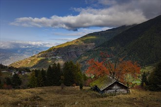 Alpine hut in the autumnal Rhone valley, mountain hut, living, lonely, mountains, colourful autumn