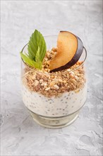 Yoghurt with plum, chia seeds and granola in a glass on gray concrete background. side view, close