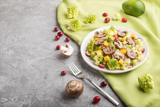 Vegetarian salad from romanesco cabbage, champignons, cranberry, avocado and pumpkin on a gray