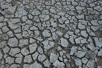 Close-up view of dry, cracked earth reminiscent of a drought-stricken area, Desiccated ground