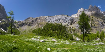Panorama of a Valais mountain pasture, Alps, idyll, nature, mountain meadow, mountain romance,
