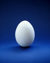 Closeup of one single henÂ´s egg, chicken egg