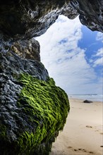 Rocky beach landscape, rocks, sea, Atlantic coast, rocky coast, beach, rock formation, cave, algae,