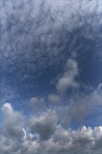 Gathering rain cloud (Nimbostratus), Thuringia, Germany, Europe