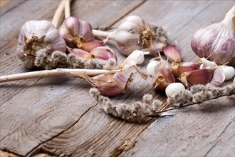 Fresh garlic with white berries on a rustic wooden background