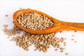 Pile of green lentils in a wooden spoon isolated on white background. Closeup