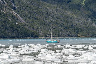 Sailing yacht between ice floes in Pia Bay in front of Pia Glacier, Alberto de Agostini National