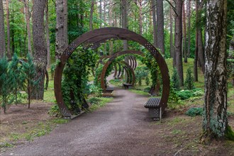 A forest park with large trees and creative benches and arches. Druskinikai, Lithuania, Europe