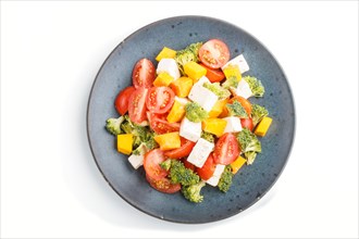 Vegetarian salad with broccoli, tomatoes, feta cheese, and pumpkin on a blue ceramic plate isolated