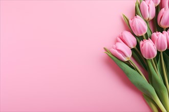 Pink tulip flowers on side of pastel pink background with copy space. KI generiert, generiert AI