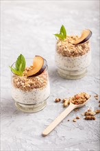 Yoghurt with plum, chia seeds and granola in a glass and wooden spoon on gray concrete background.
