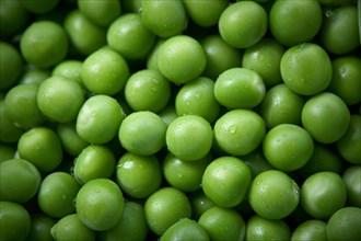 Top view of many fresh green peas. KI generiert, generiert AI generated